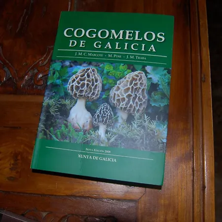 Casa Do Ouro