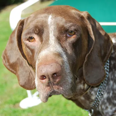 Casa Do Ouro * Aldán