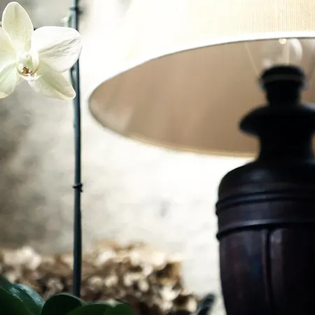 Casa Do Ouro Casa de Campo *