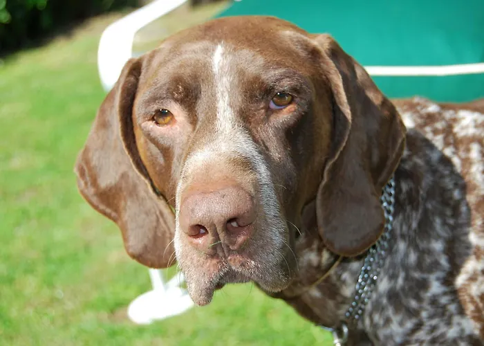 Casa Do Ouro * Aldán