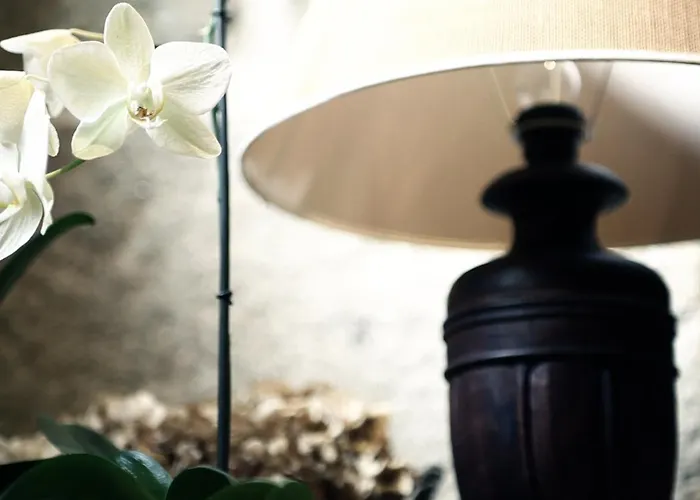 Casa Do Ouro Εξοχικό σπίτι *